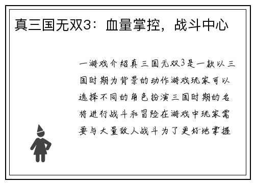 真三国无双3：血量掌控，战斗中心